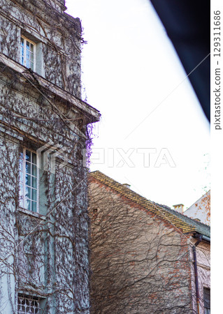 View of an old building covered in ivy. Vintage historical architecture. Vertical 129311686