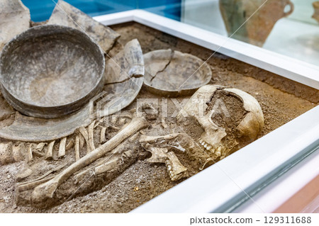 View of a prehistoric human skeleton under museum glass. Close up. Concept of archaeology View of a prehistoric human skeleton under museum glass. Close up. Concept of archaeology 129311688