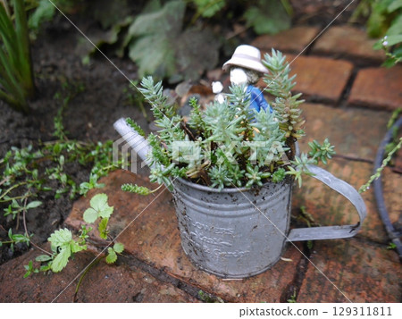 小型多肉植物擺件 小型多肉植物擺件 129311811