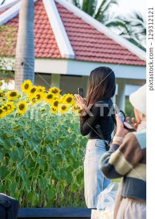 Girl Taking Sunflower Photo Girl Taking Sunflower Photo 129312121
