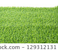 Close-Up Fresh Green Grass Texture 129312131