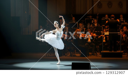 Swan Lake dancing with an orchestra 129312907