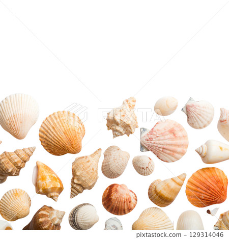 Collection of natural sea shells isolated on a white background, perfect for summer beach and ocean themes 129314046