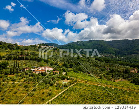 Aerial drone view of vineyards and hills in Tuscany, Italy. Mountain range near city Lucca. 129314439