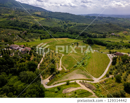 Aerial drone view of vineyards and hills in Tuscany, Italy. Mountain range near city Lucca. 129314442