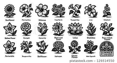 手繪夏季花卉圖示集單色,手繪夏季花卉圖示 S 手繪夏季花卉圖示集單色,手繪夏季花卉圖示 S 129314550