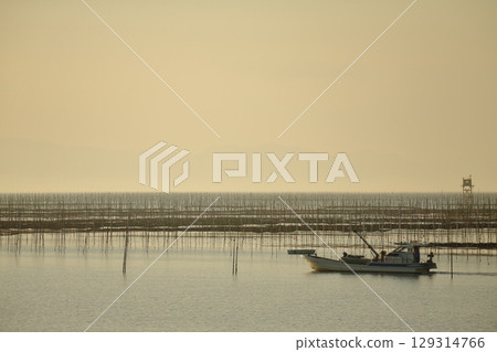 Omuta City Ariake Sea Nori field, 129314766