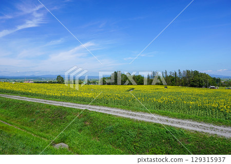 喜馬拉雅里沒有佐藤 129315937