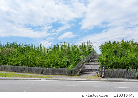 磐城市沼之內海岸設立防災綠地 磐城市沼之內海岸設立防災綠地 129316443