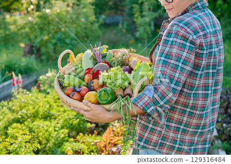 Basket with different fresh vegetables herbs in woman's hands outdoor 129316484