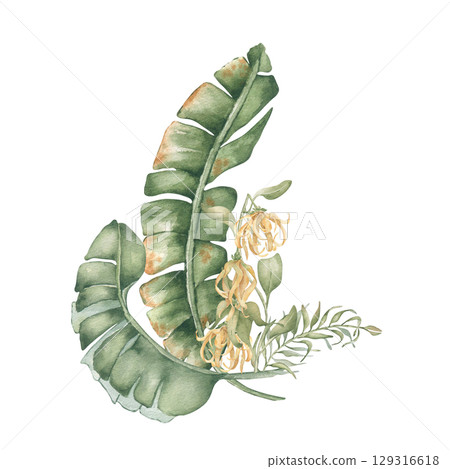 Tropical leaves and yellow flowers watercolor in neutral tones isolated. Banana palm fronds and foliage hand drawn. Ylang ylang plant with greenery botanical illustration for design beach style. 129316618