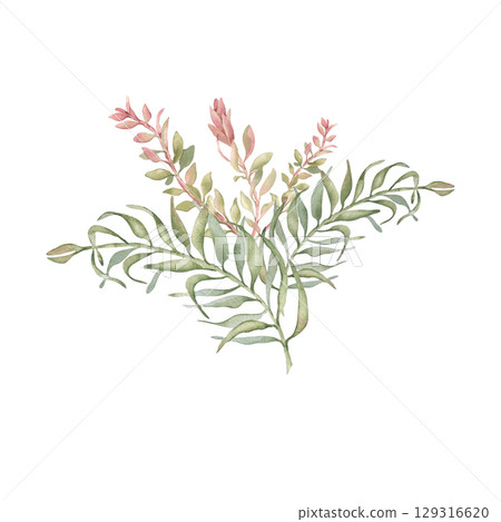 Tropical bush watercolor in blush pink and soft colors isolated on white. Areca palm leaves and callistemon branches hand painted. Delicate tropical bouquet botanical art for wedding beach design. 129316620