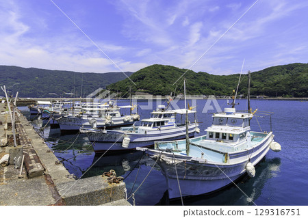 愛媛郡三崎水產合作社井浦支部停泊著漁船，蔚藍的大海，夏日寧靜的港口景色 129316751