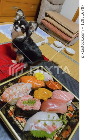 Pomechiwa 瞄準壽司 129316787