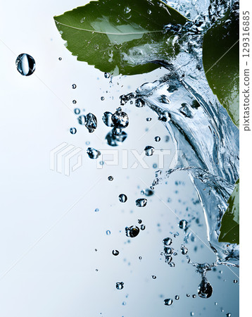 Green leaves with water flow. Plants in transparent splashes. Illustration of liquid for design 129316885