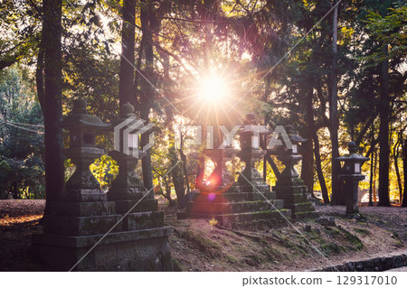 Vintage toned view of ancient stone lanterns in Nara Park with sunburst rays through trees 129317010