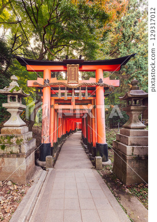 Empty torii corridor at Fushimi Inari Taisha in Kyoto, Japan, captured on quiet autumn morning 129317012