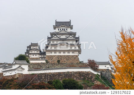 Himeji Castle rising above autumn trees with stone fortifications and elegant traditional roofs 129317022
