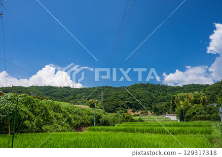 Summer rural scenery - The original landscape of Tsurumaki and Kitayana Summer rural scenery - The original landscape of Tsurumaki and Kitayana 129317318