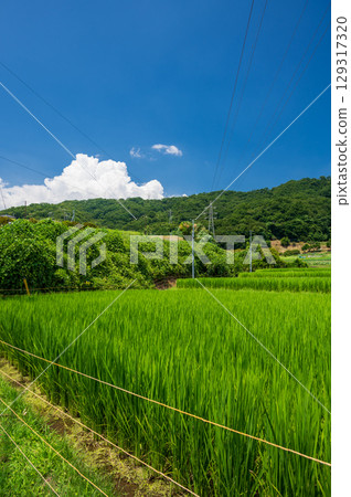 夏日田園風光-鶴卷、北野原景 夏日田園風光-鶴卷、北野原景 129317320