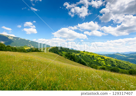 mountain landscape with wide meadow in summer. sky with fluffy clouds on a sunny afternoon. green grass on the pasture rolling through hills in countryside scenery to distant alpine valley of ukraine 129317407