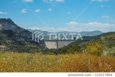 dam of Iznajar reservoir behind wildflowers 129317669