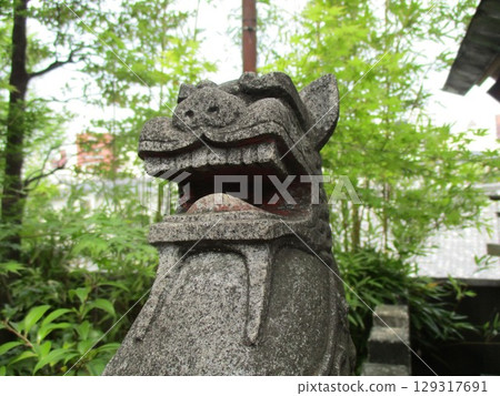 祖廟守護犬 129317691