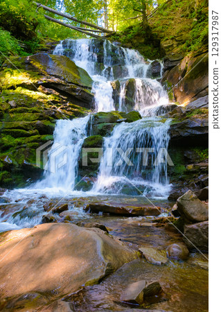 waterfall in the forest on a summer morning. rocks with moss in dappled light. refreshing nature scenery 129317987