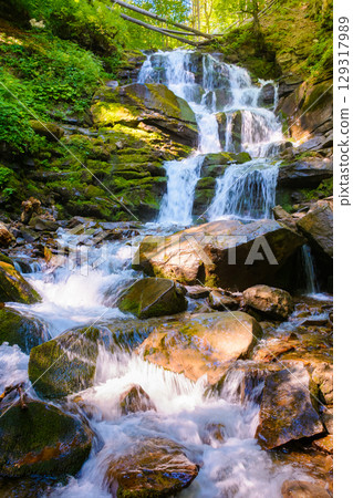 waterfall in the forest on a summer morning. rocks with moss in dappled light. refreshing nature scenery 129317989