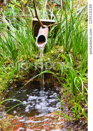 Ohara Sanzenin Temple: Beautiful and tranquil scenery (Sakyo Ward, Kyoto City, Kyoto Prefecture) Ohara Sanzenin Temple: Beautiful and tranquil scenery (Sakyo Ward, Kyoto City, Kyoto Prefecture) 129318189