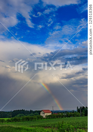 北海道雨後彩虹綻放的瞬間 129318366