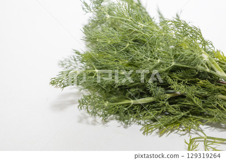The fresh green dill on white background. Bunch of dill is a spice for different dishes. Tasty grass for salad and canning The fresh green dill on white background. Bunch of dill is a spice for different dishes. Tasty grass for salad and canning 129319264