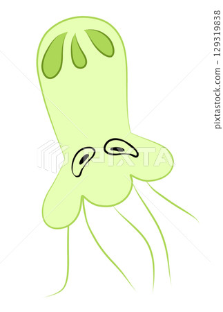 多彩的水母 129319838