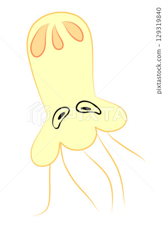 多彩的水母 129319840