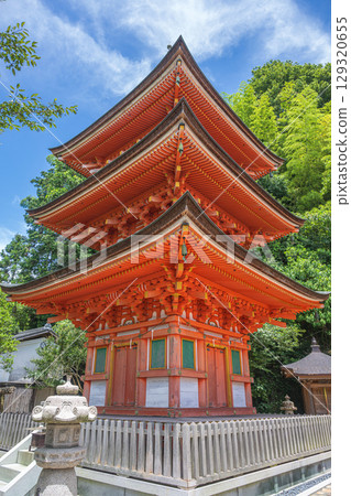 竹生島寶嚴寺的三重塔 129320655