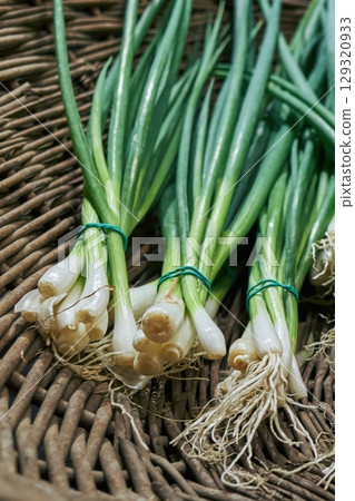 Basket of green onions with green stems. Vertical background, wallpapers. 129320933