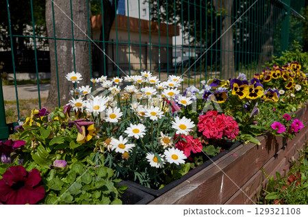 Colorful flower garden with a fence in the background 129321108