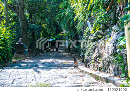 [#Okinawa] Shuri Kinjo Town Stone-paved Street 129321690