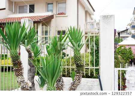 A well-maintained residential garden with tropical plants and spiky green foliage is enclosed by a decorative fence A well-maintained residential garden with tropical plants and spiky green foliage is enclosed by a decorative fence 129322357