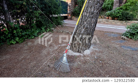 Garden rake resting against tree in a tranquil backyard setting Garden rake resting against tree in a tranquil backyard setting 129322580