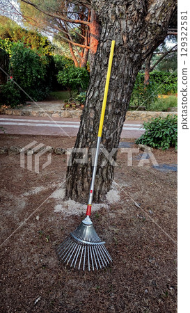 Garden maintenance concept with metal rake resting against tree in natural park setting. Vertical banner 129322581