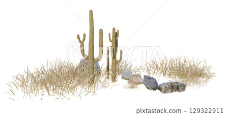 isolated desert plant with rock group on white background with clipping path, 3d illustration rendering  129322911