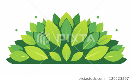 Symmetrical cluster of bright and dark green leaves, arranged like a lush garden crown. 129323297