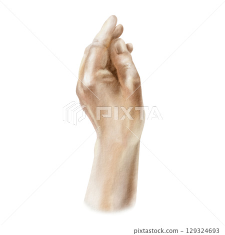 Humans hand brush in European skin tone holding pose in realistic style. White arm hand drawn in watercolor on transparent background for your vibrant Fathers Day,Valentines day or chess competitions 129324693