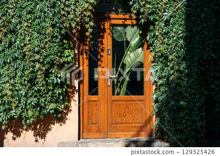 Glass-paneled wooden door framed by dense green ivy on the exterior of a building, with tropical leaves visible inside. Green facade, biophilic design, sustainable architecture, urban nature Glass-paneled wooden door framed by dense green ivy on the exterior of a building, with tropical leaves visible inside. Green facade, biophilic design, sustainable architecture, urban nature 129325426