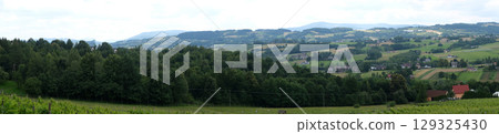 Panoramic view of forested hills and cultivated fields with scattered homes and vineyard rows in the foreground. Rural innovation, modern farming, vineyard infrastructure, European rural revival 129325430