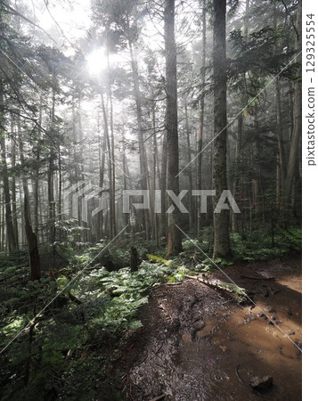 One thousand sheets mountain climbing path One thousand sheets mountain climbing path 129325554