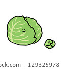 手繪可愛的蔬菜捲心菜 129325978