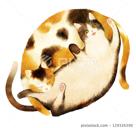 兩隻貓一起躺著的插圖 129326398