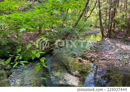 Fresh green man pond Fresh green man pond 129327444